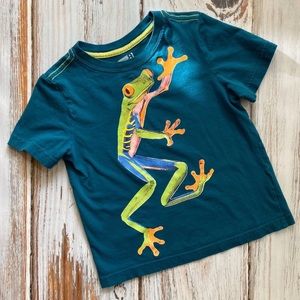 Crazy 8 green tree frog T-shirt 4T